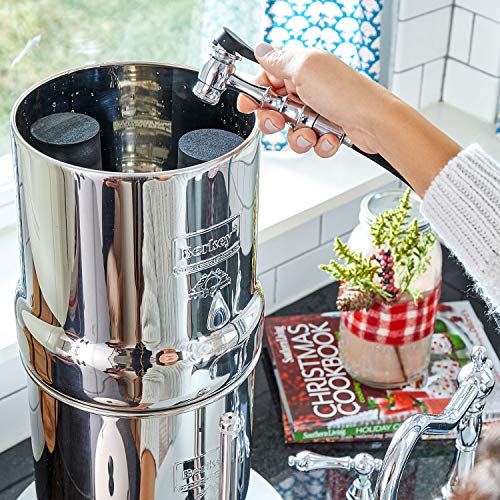 Black Berkey Water Filtration Elements - Countertop & Faucet Filters - 166.0 - DiscountFilterStore.com