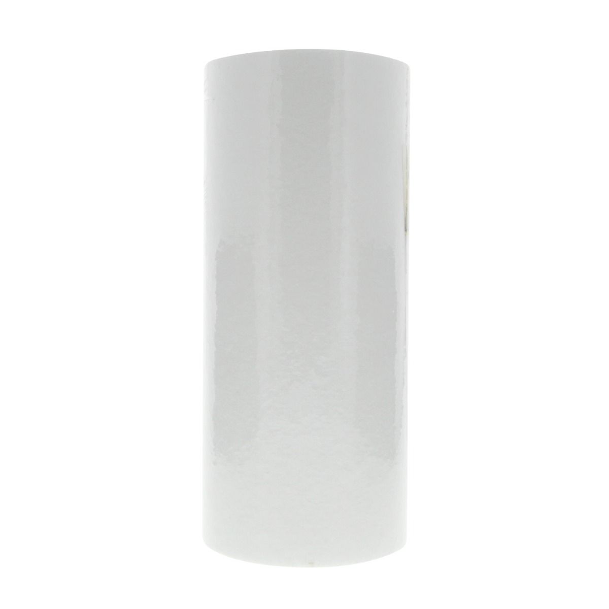 DGD-2501 Pentek Whole House Filter Replacement Cartridge - Whole House Cartridges - 19.45 - DiscountFilterStore.com