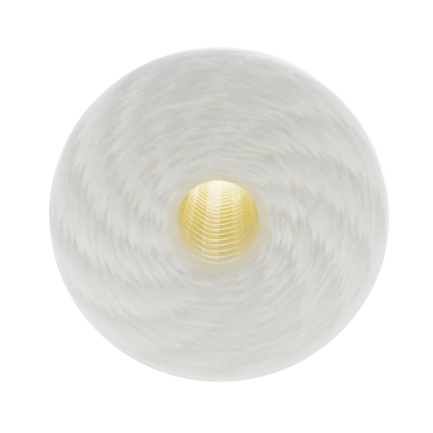 WPX25BB97P Pentek Whole House Filter Replacement Cartridge - Whole House Cartridges - 34.99 - DiscountFilterStore.com