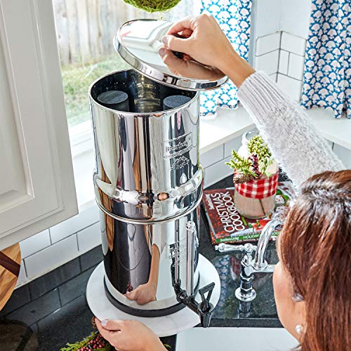 Black Berkey Water Filtration Elements - Countertop & Faucet Filters - 166.0 - DiscountFilterStore.com