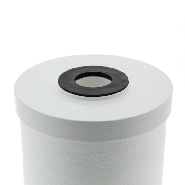 RFFE10-BB Pentek Iron Reducing Water Filter Cartridge (10 in x 4.5 in)
