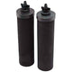 Black Berkey Water Filtration Elements - Countertop & Faucet Filters - 166.0 - DiscountFilterStore.com