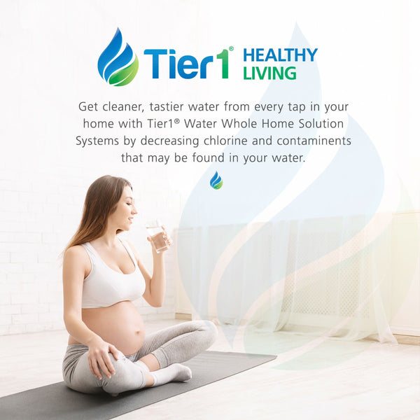Precision Series Whole House Chlorine Reduction System by Tier1 (1,100,000 Gallon Capacity) - Whole House Systems - 781.88 - DiscountFilterStore.com