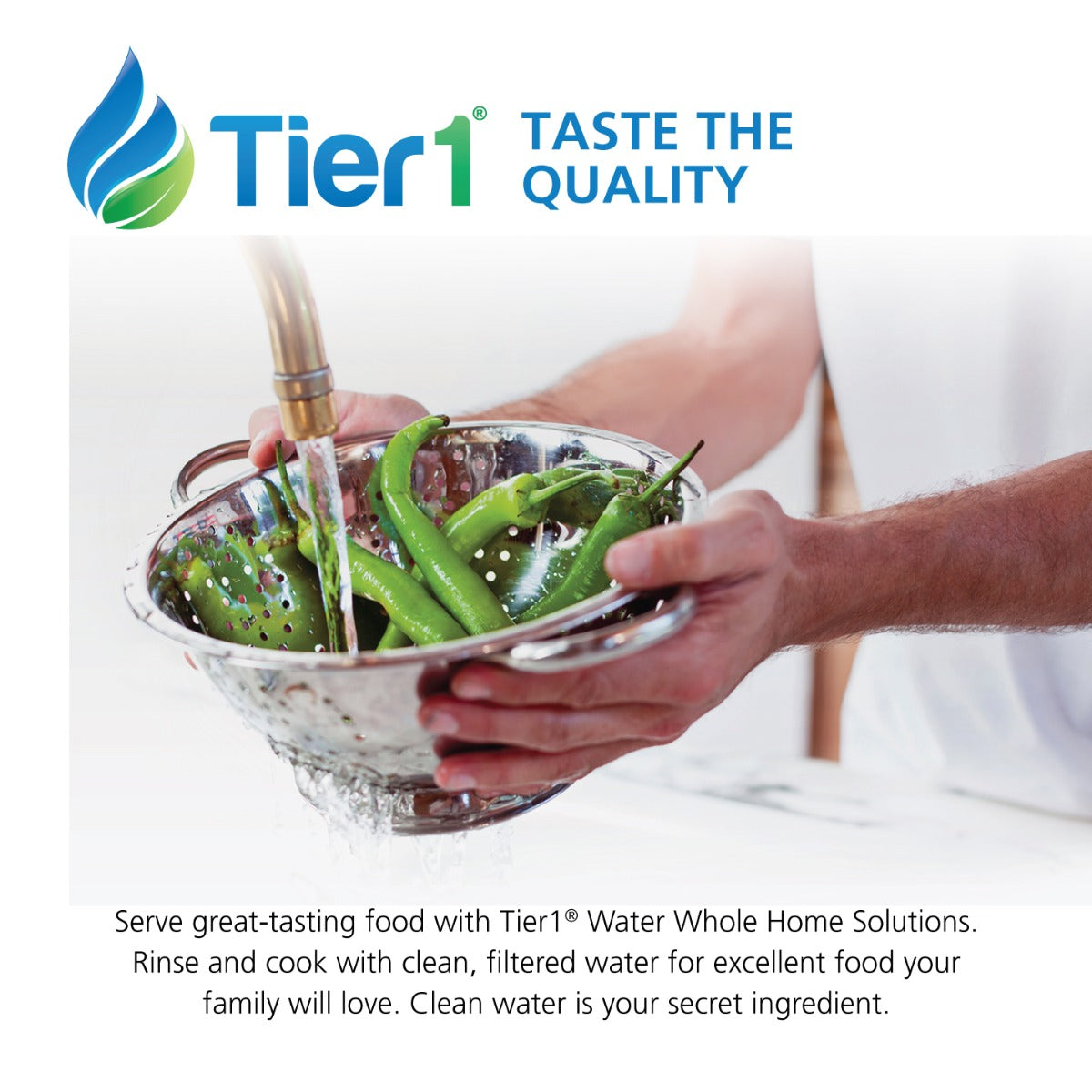Precision Series Whole House Water Neutralizing System, 4 - 6 People - Whole House Systems - 709.79 - DiscountFilterStore.com