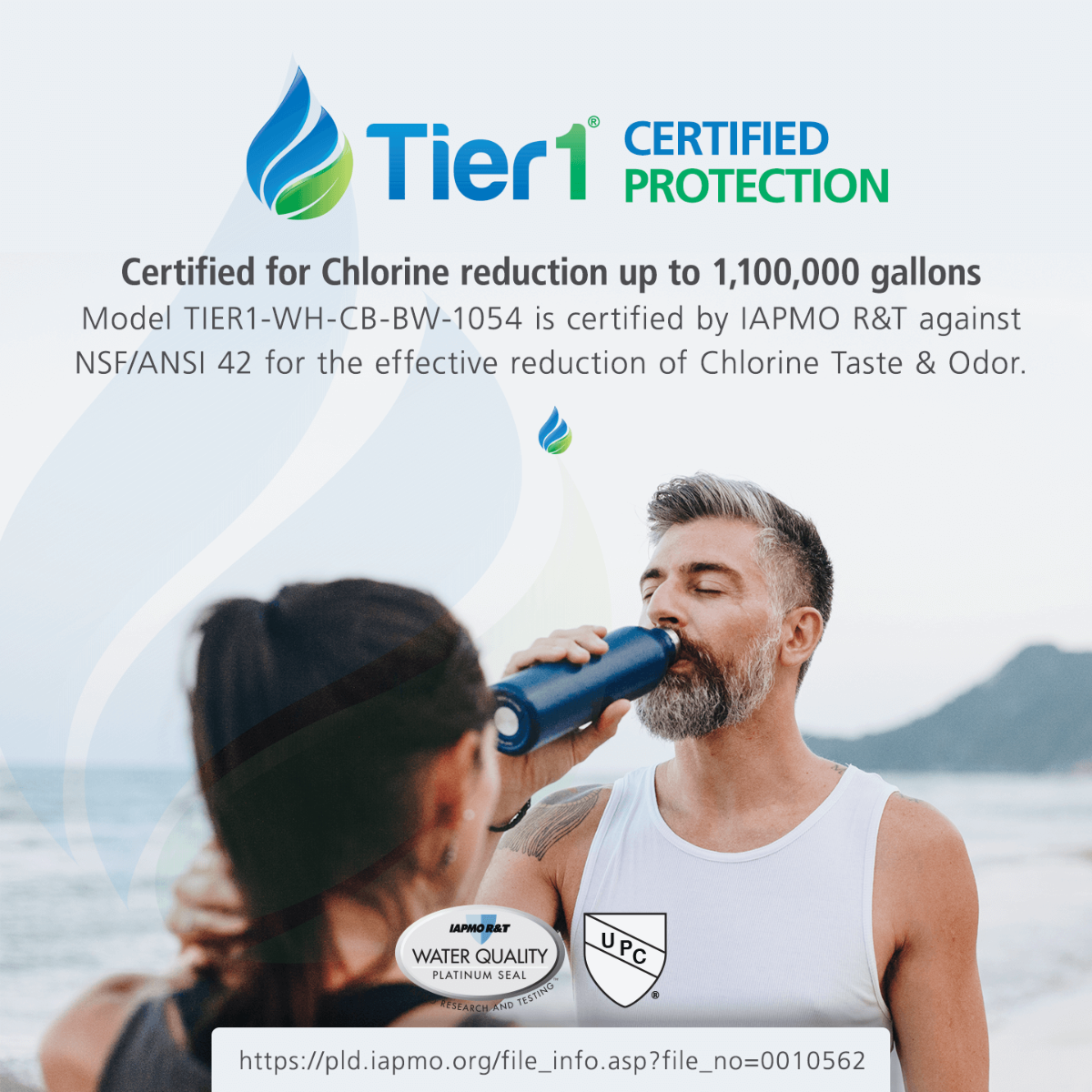 Precision Series Whole House Chlorine Reduction System by Tier1 (1,100,000 Gallon Capacity) - Whole House Systems - 781.88 - DiscountFilterStore.com
