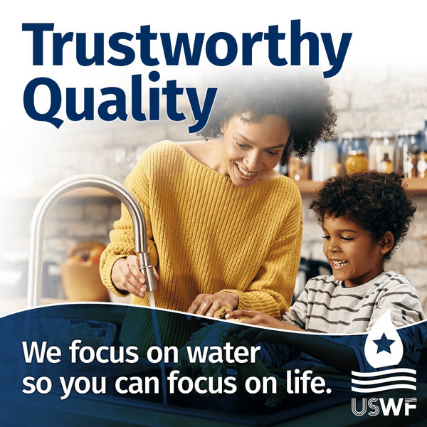 RCHO4.12 USWF UV Disinfection System | Replacement Controller for USWF-4C101, 4C151, & 4CR2 - Whole House Systems - 273.89 - DiscountFilterStore.com