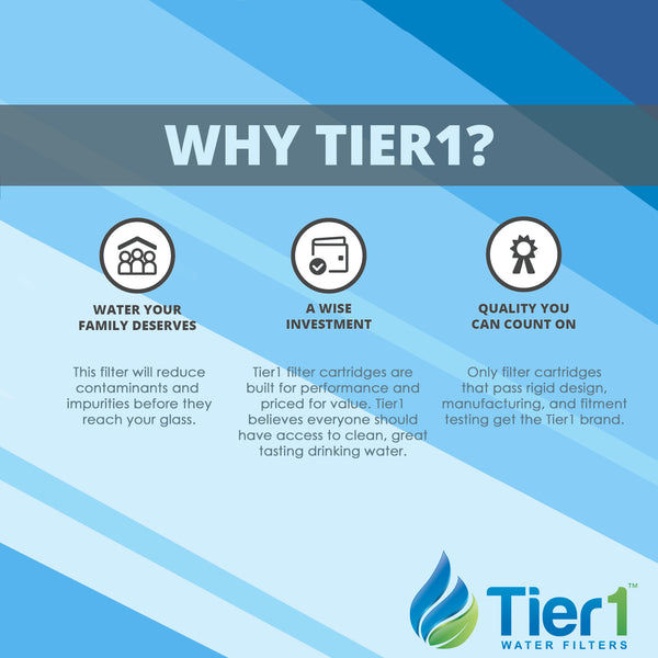 EPM-20 Pentek Comparable Whole House Water Filter by Tier1 - Whole House Cartridges - 21.79 - DiscountFilterStore.com